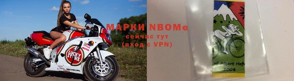 шишки Беломорск