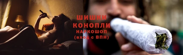 прущие крисы Белоозёрский