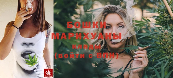 apvp Богородицк