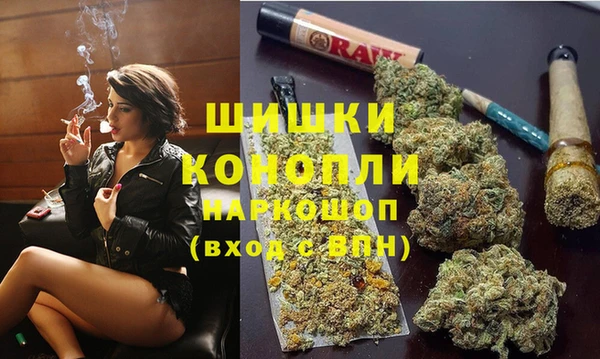 apvp Богородицк